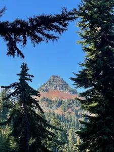 near rainer
