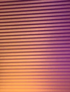 Only Lights