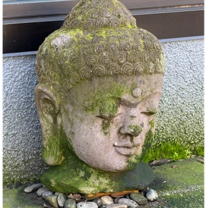 Sidewalk Zen