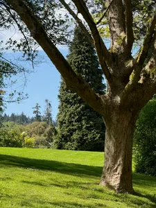 sunny day