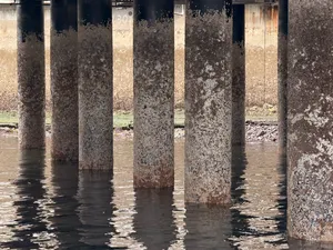 Under the pier